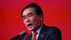 민주, ‘JM‘S 민주당’에 발끈하자…태영호 “어이없다”