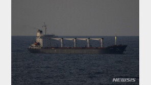 러·유엔, 흑해 곡물협정 60일 연장 합의