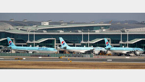 “대한항공 기내서 발견 실탄… 2발외 1발 더 있었을 가능성”