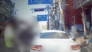 역주행에 지그재그 난폭운전…잡고보니 무면허