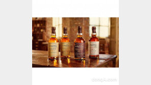 끝나지 않은 위스키 열풍… 현대百, ‘품귀’ 위스키 푼다