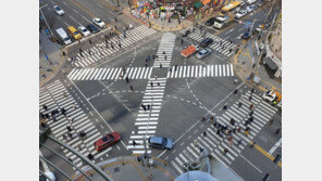 ‘한번에 건너는’ 대각선 횡단보도 확대…내년 1종 자동 면허 나온다