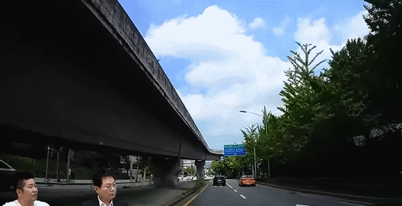 하늘서 고양이가 ‘뚝’…“차량 앞 유리 산산조각 났다”