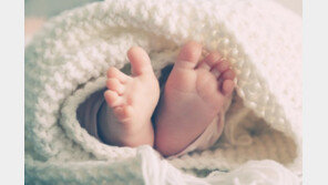 출산 후 사라진 산모, 다른女 나타나 “내 아이”…아동매매 여부 수사