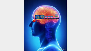 “눈 촬영해 파킨슨환자 인지기능 예측”…알고리즘 개발