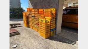 과수원서 농산물 훔친 40대…면허 없이 화물차도 몰았다