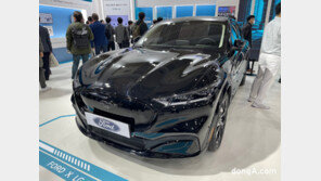 머스탱 마하-E·루시드 에어… 귀한 전기차가 한국에