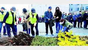 봄철 나무 나눠주기 행사 