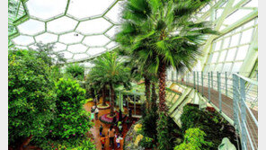 부천의 3대 봄꽃 축제, 4년 만에 돌아온다 