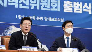 민주 혁신위, ‘기소시 당직 정지’ 당헌 80조 삭제 검토