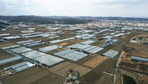 삼성 ‘반도체 삼각벨트’ 구축… “메모리 넘어 시스템 1위 도전” 