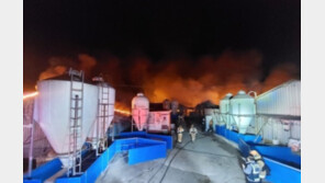 전북 정읍 1900마리·임실 850마리 돼지 불 타…원인 파악 중