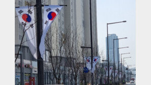 3·1절 일장기 게양 파문 뒤…세종시내 곳곳 태극기 물결