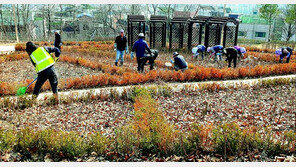 “바쁘다 바빠”… 봄맞이 장미꽃밭 조성 분주