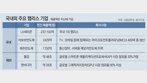 똘똘한 팹리스 10개, 반도체단지 성공 열쇠 