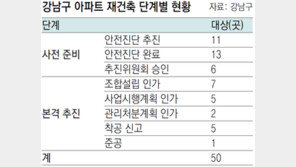 강남구 재건축 속도 빨라졌다… 50곳 진행 중 