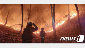 상주 산불 1200명 동원, 진화율 43%…주민 뿌린 재가 화근
