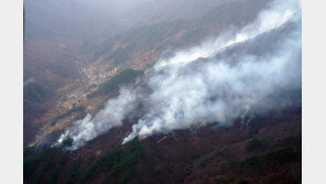 화재 4건 중 1건 봄철 발생…담배꽁초 등 부주의가 61%