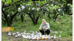 농민 10명 중 7명 “농사 그만두고 싶다…생계 유지 어려워”