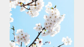 ‘서울 1도’ 출근길 꽃샘추위 기승…15도 이상 큰 일교차 유의