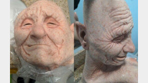 美서 한인 킬러 체포, 가방엔 노인가면…함정수사 딱걸려