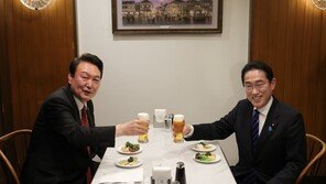 與 “역사가 제대로 평가할 것” vs 野 “일본 하수인의 길 선택”