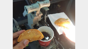 뚜껑 없는 커피 조종석에 ‘아슬아슬’…인도 조종사들 징계