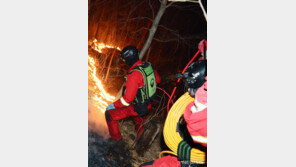 축구장 230여개 규모 산림 태운 합천 산불 원인은?