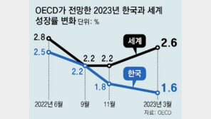 OECD, 올해 韓성장률 1.8→1.6% 또 낮춰… 세계 전망은 상향 