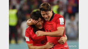 축구협회 “부상 황희찬, 협의 후 합류 결정”…손흥민 20일 입국