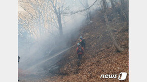 예산 금오산 산불 2시간만에 진화…헬기 5대 등 투입