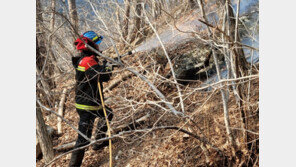 보령 남심리서 산불…밭두렁 소각 중 바람에 산으로 번져