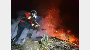 건조한 날씨에 강풍 겹치면서 주말 전국서 산불 잇따라