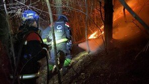 순천 야산서 불…81명 투입 진화 중