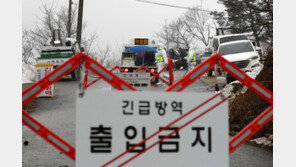 경기 포천 돼지농장서 ASF 확진…방역대 내 17만여마리 사육