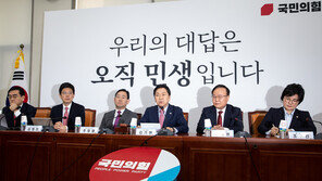 與 “김대중·노무현도 日 하수인인가…野, 국익·안보도 방탄 도구 활용”