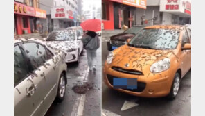 中에 차량 뒤덮는 벌레 비?…정체는 “OOO 인듯”