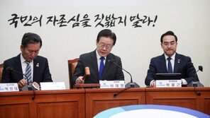 野 “망국적 야합 탄핵 사유” 與 “노무현도 日 하수인”…한일 정상회담 공방격화