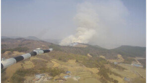 1단계 발령 서천 산불 3시간여만에 진화…산불 피해 12㏊