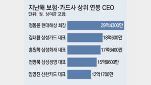 역대급 실적 보험사도 ‘성과급 잔치’… CEO 최고 연봉 30억