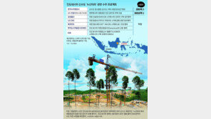 印尼, 40조 규모 ‘新수도’ 이전… “세종시 벤치마킹” 