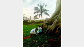 러-우크라 피란민에 몸살앓는 발리… 700년 된 나무서 나체 사진 촬영도