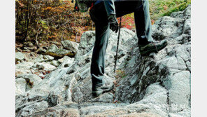 “꽃 보려다 삐끗… 봄 산행 부상 조심하세요”