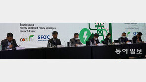 ‘RE100’ 창시 국제단체 “한국, 재생에너지 목표치 더 높여야” 