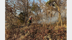 산청군 생비량면 산불…헬기 7대 투입 진화 중