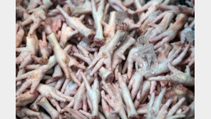 “닭발 먹자” 정부 제안에 이집트 국민들 뿔났다…왜?