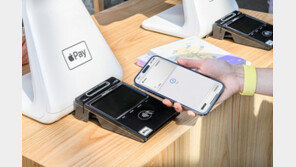 "첫날 오전에만 17만 명 가입"··· 애플 페이의 한국 서비스가 지닌 의의는?