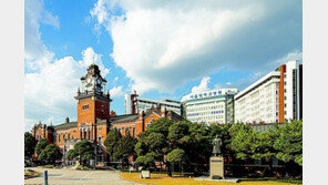 공공부문 신설해 공공보건의료 협력체계 구축