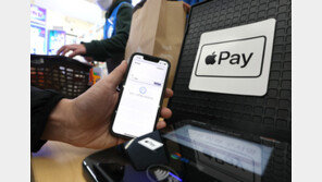 “애플페이 되나요?”…결제 시도 ‘눈길’·실패 ‘혼선’도