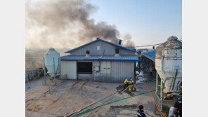 당진 돈사서 불…돼지 535마리 폐사, 1억2000만원 재산피해